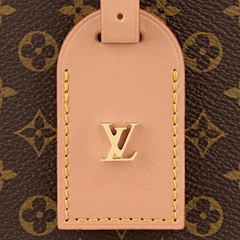 LV Petite Boite Chapeau Monogra